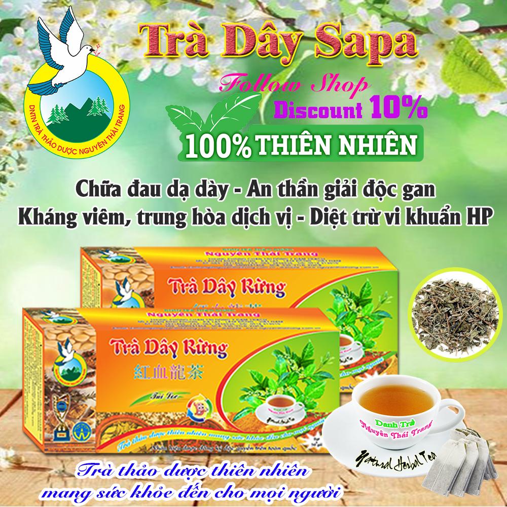 Trà Dây Rừng Sapa τrị Đau Bao Tử (Hộp 50 Túi Lọc X 2g) - Nguyên Thái Trang – Thảo Dược Thiên Nhiên - Tốt Cho Sức Khỏe