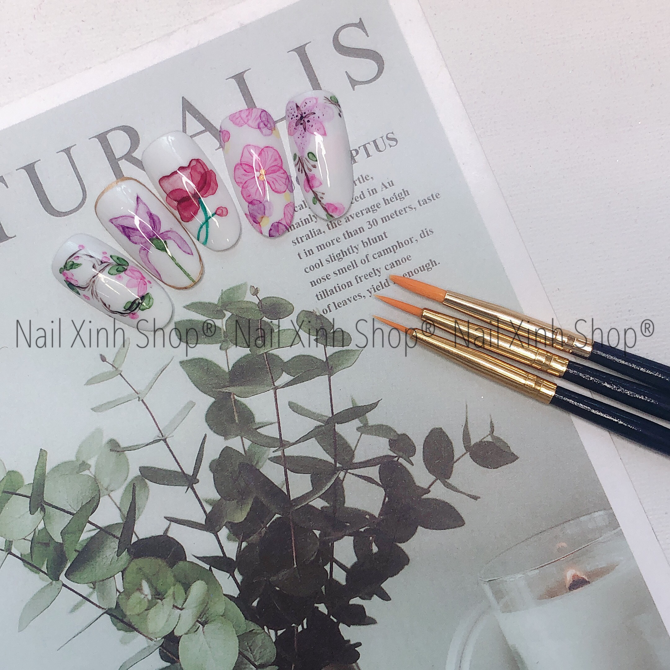 [HCM]Set cọ vẽ gel 3 nét tô gel uv da dụng phụ kiện làm nail chuyên nghiệp (1 set 3 cọ nét mảnh nét vừa nét to)