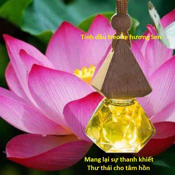 Tinh dầu treo xe hương Sen.