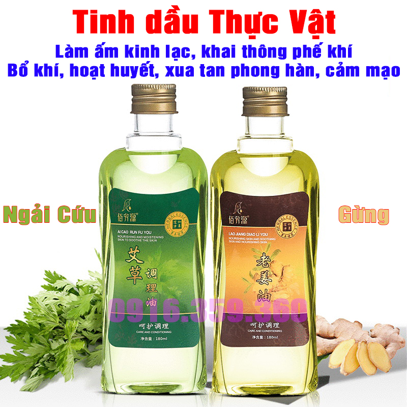 Tinh dầu thực vật 180ml, dầu gừng, dầu ngải cứu