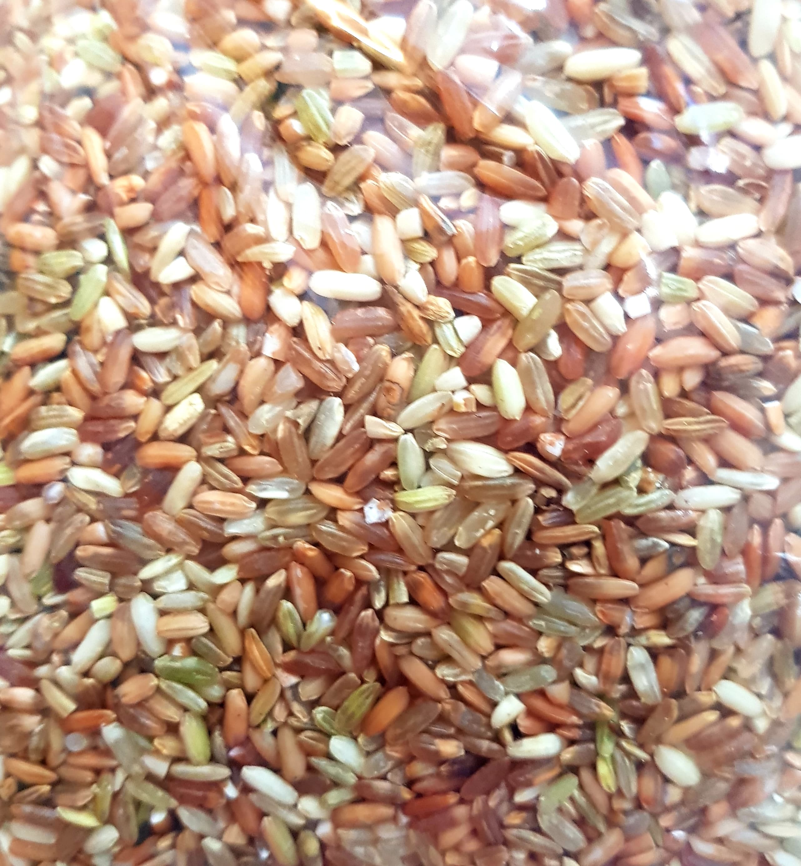 Gạo Lứt Dẻo Điện Biên Cơm dẻo thơm ngon 2kg