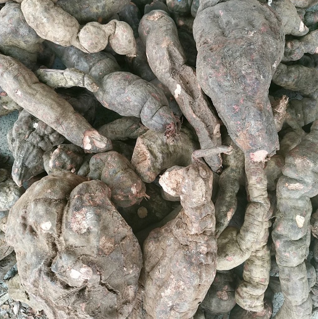 1kg hà thủ ô đỏ bổ huyết khoẻ gân cốt