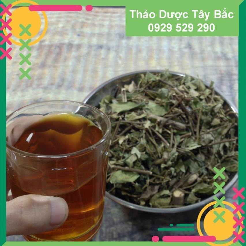 ✅✅ dây thìa canh thái nguyên