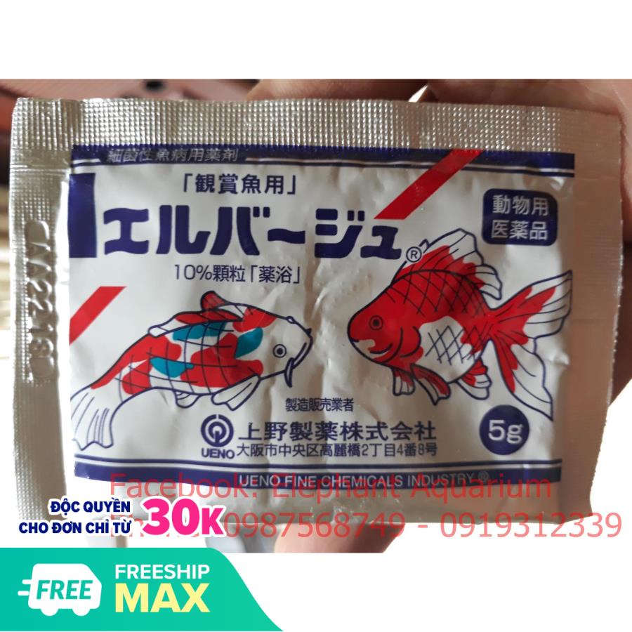 Tetra Nhật cho cá cảnh (gói 5g)