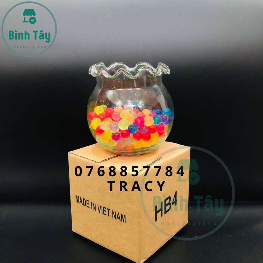 [HCM]BỂ CÁ THỦY TINH HỒ CÁ CHẬU CÂY MIỆNG BÈO BT-HB4