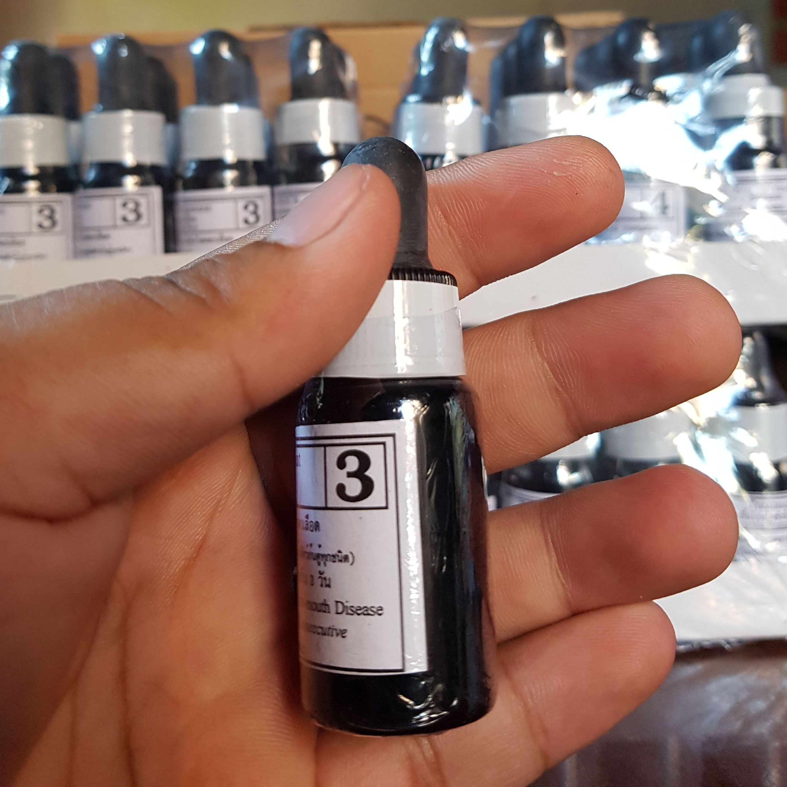 Bio knock 3 - thối mang mục vây cho cá cảnh