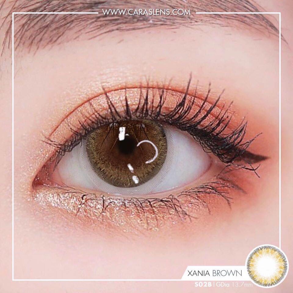 Lens - Kính áp tròng nâu mini tự nhiên sử dụng 1 năm (tặng kèm khay đựng)