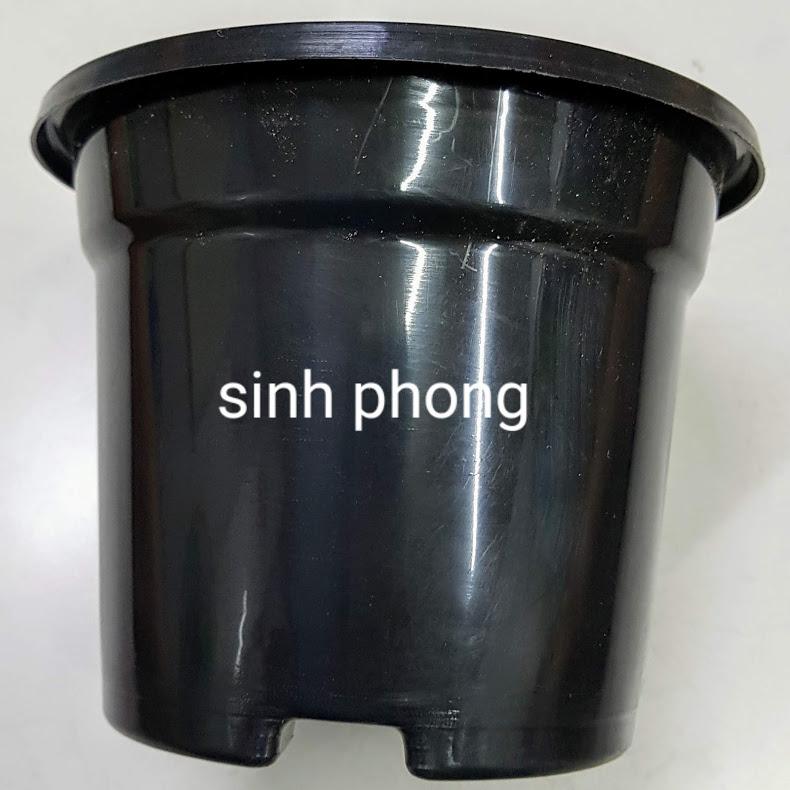 50 cái Chậu nhựa tròn 13x11 cm màu đen  - Sản phẩm chất lượng - gian hàng uy tín - giá luôn tốt - mua ngay kẻo lỡ !