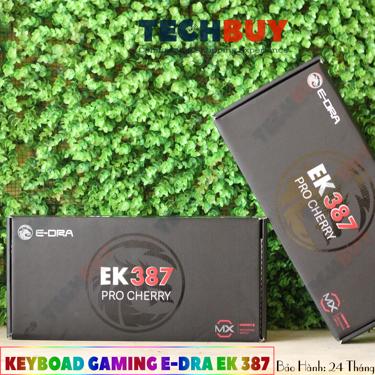 Bàn phím cơ E-Dra EK387 Pro Cherry I BH 24 T Toàn Quốc I Gaming Tenkeyless EDra EK387 Pro Cherry switch