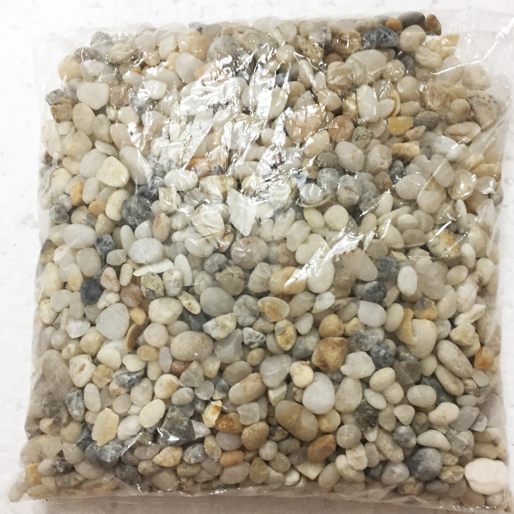 1kg Sỏi Biển Thiên Nhiên Trang Trí Hồ Cá, Lót Chậu, Sân Vườn Thủy