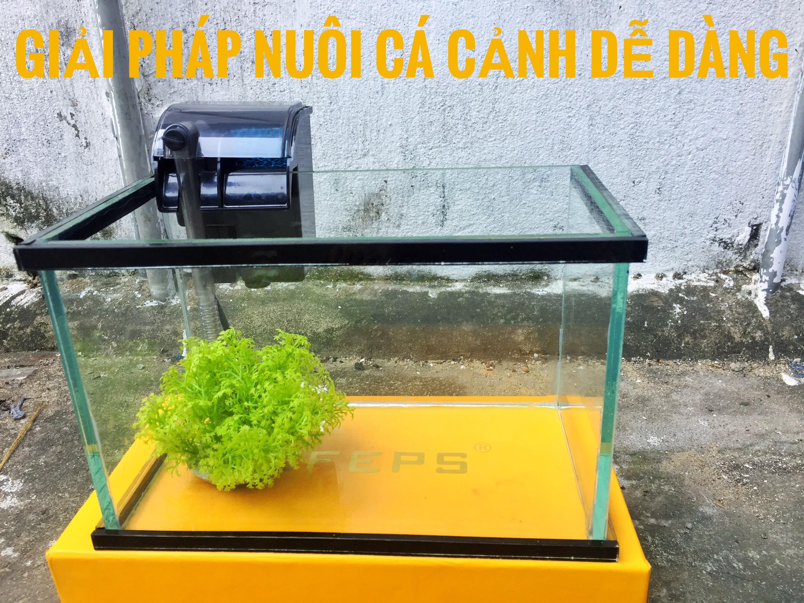 Set bể cá mini viền kính đen và lọc thác 25x14x16cm - tặng cây nhựa , thức ăn cá cảnh
