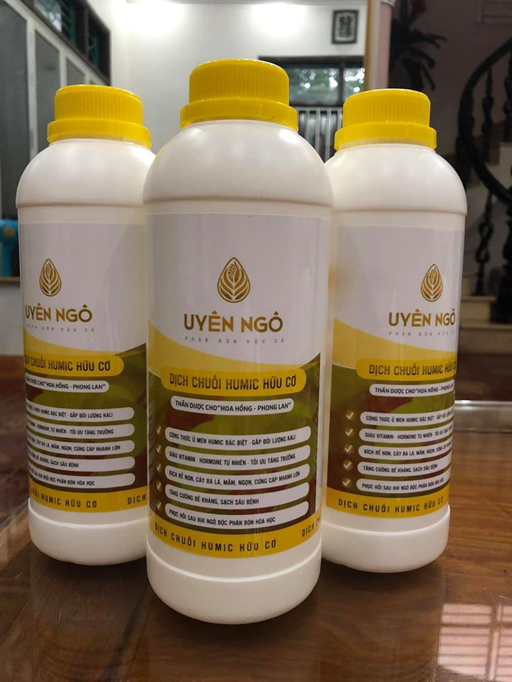 Dịch Chuối- Humic Uyên Ngô