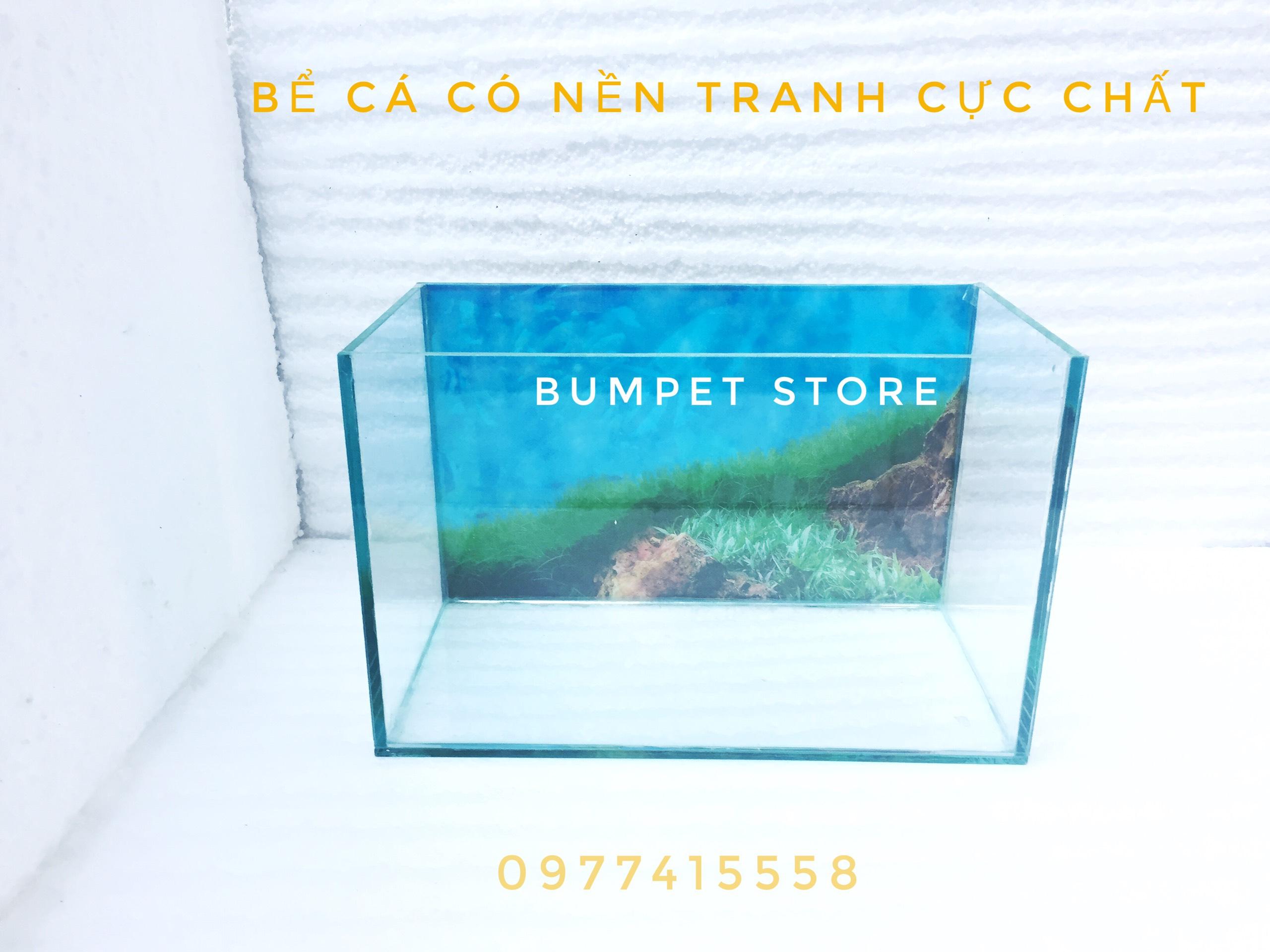 Bể cá mini 3018cm drc có tranh nền - bể cá để bàn giá rẻ