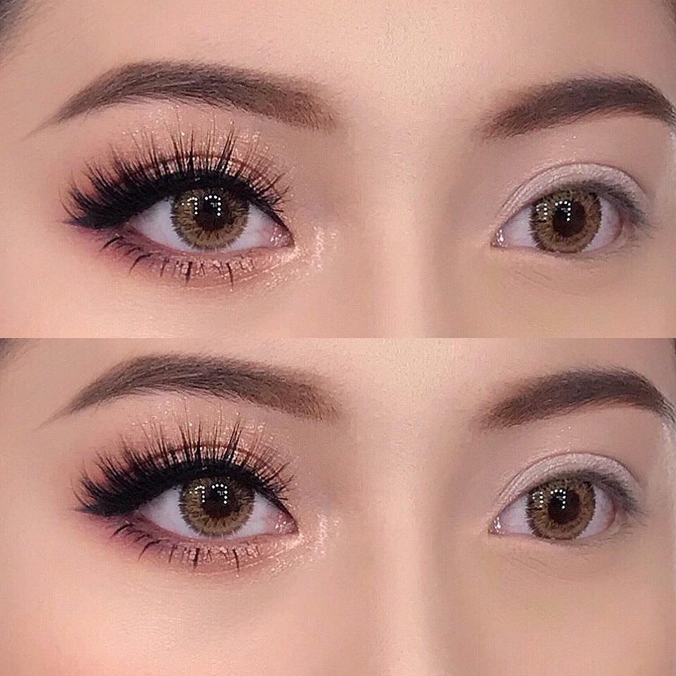 Lens - Kính áp tròng nâu tây sử dụng 1 năm (tặng kèm khay đựng)- Nana lens