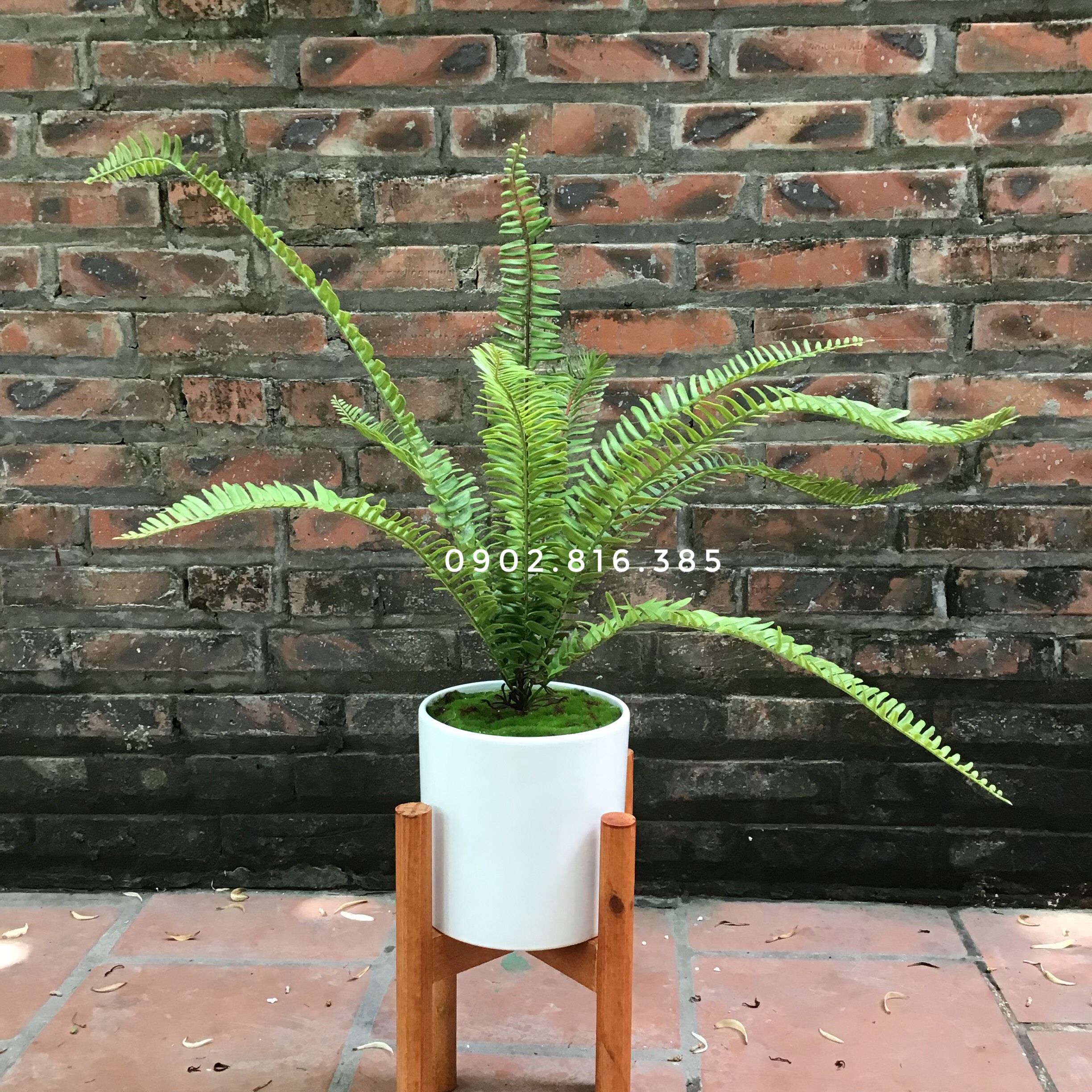 Cây dương xỉ giả đẹp- Cây giả