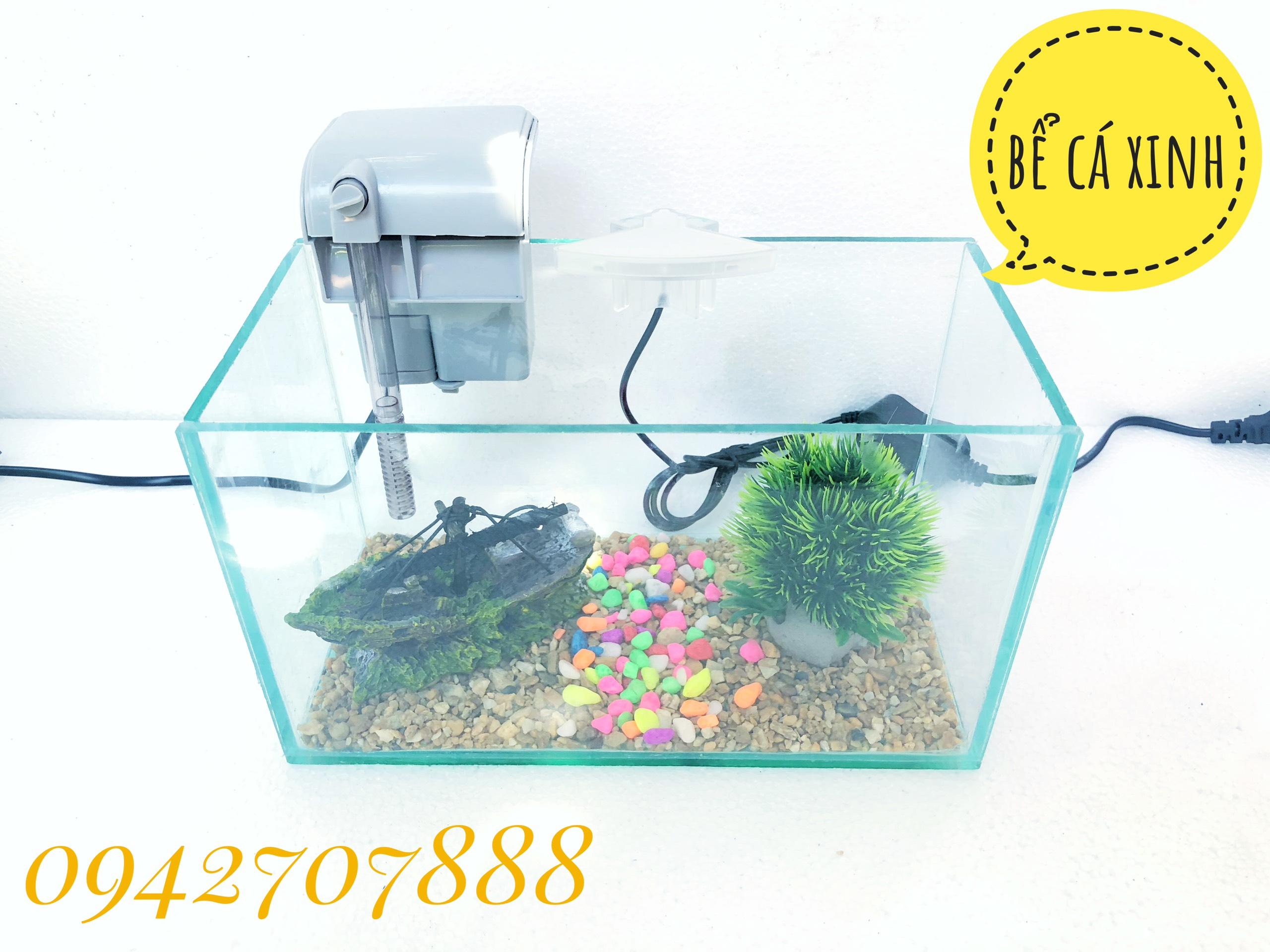 Bể cá cảnh mini 25cm bao gồm đèn và lọc - tặng cây và thức ăn