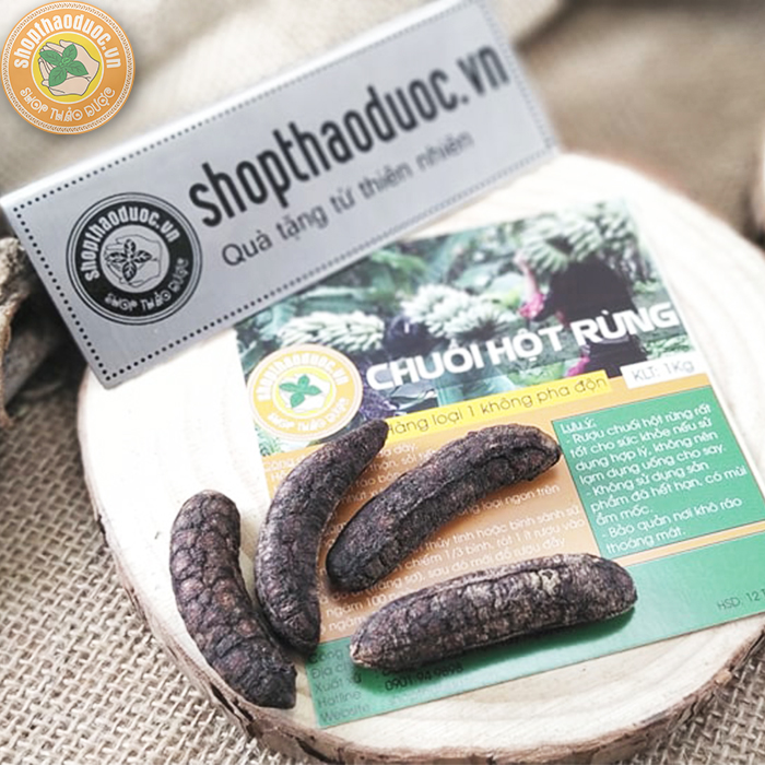 Combo 2kg Chuối Hột Rừng Shopthaoduoc - Chuối Hột Rừng Tây Nguyên 100%