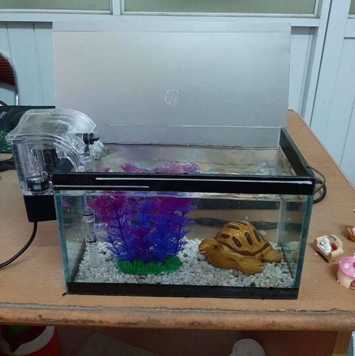 Bể cá cảnh, hồ cá mini 25cm với lọc thác mini kèm phụ kiện trang trí bể cá cảnh