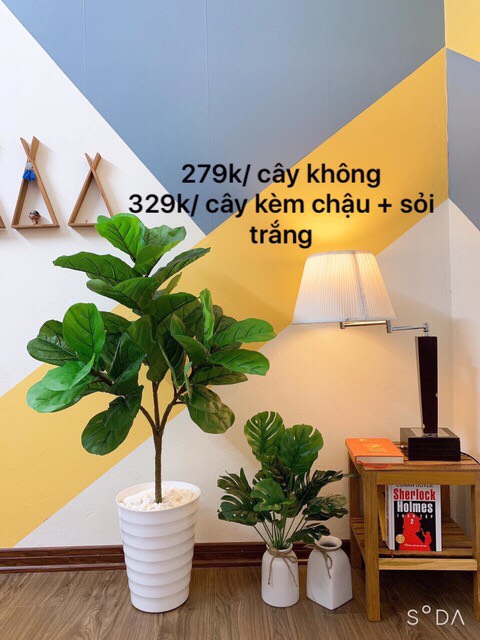 Cây giả - cây bàng giả 1m - 3 nhánh lá to - bàng singapo giả