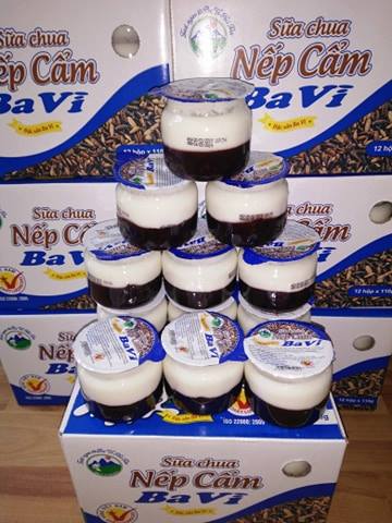 Sữa chua Nếp Cẩm Ba Vì