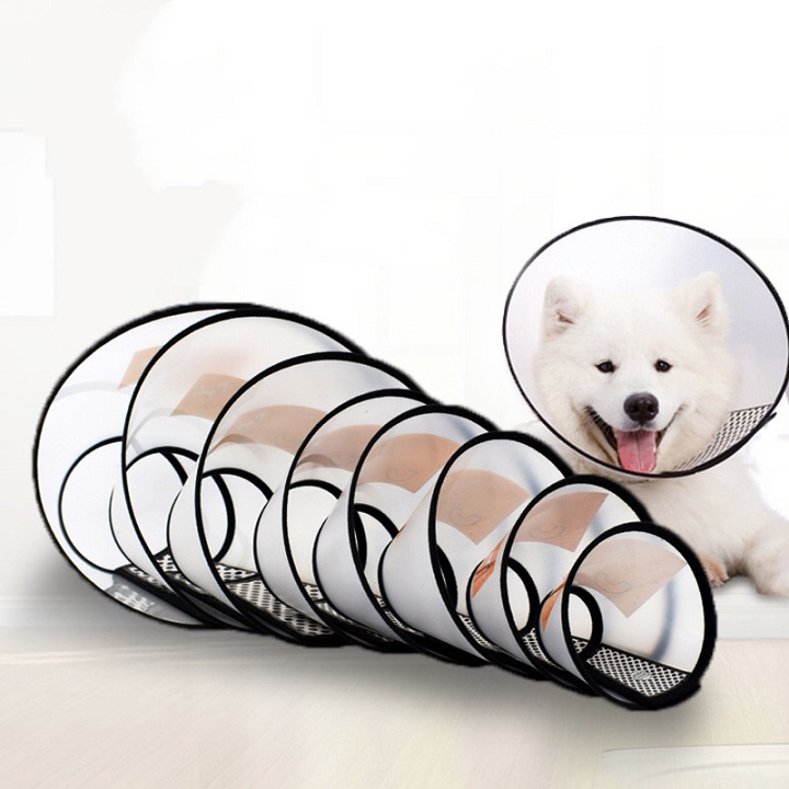Loa chống liếm thú cưng - vòng cổ chống liếm cho chó mèo