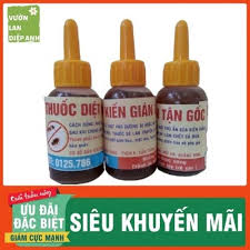 Thuốc diệt kiến sinh học, thuốc diệt kiến tận gốc hiệu quả 100% an toàn cho sức khoẻ con người và vật nuôi