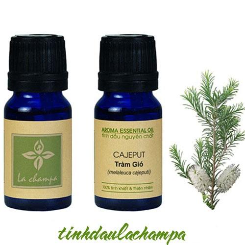 Tinh dầu tràm gió Lachampa (Cajeput)