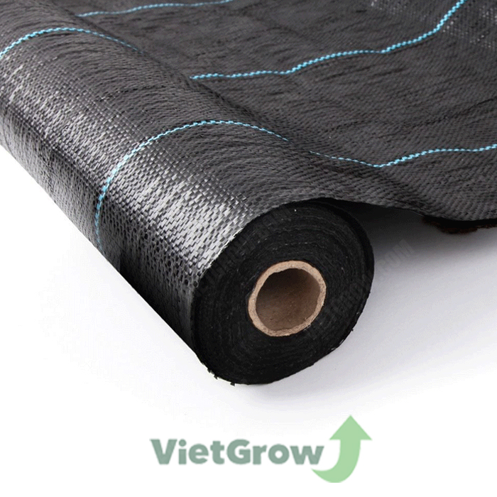 Lưới chống cỏ croco