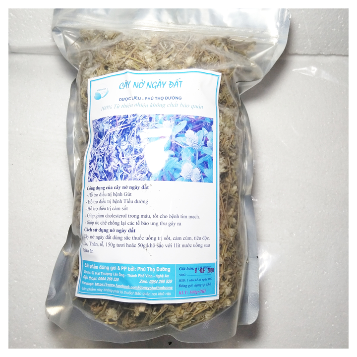Cây nở ngày đất - Túi 500gr Hỗ trợ  bệnh gút, bệnh tiểu đường, tốt cho bệnh tim mạch...