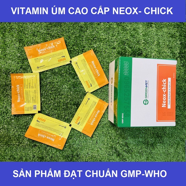 50 gói vitamin úm gà con cao cấp Neox-Chick