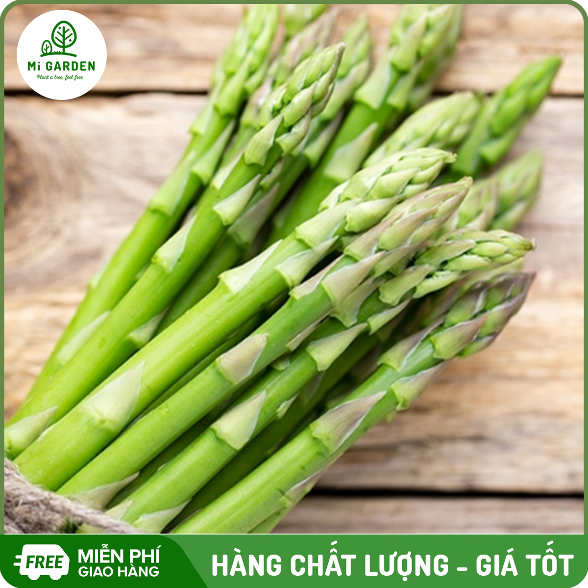 Hạt giống Măng tây xanh Mi Garden, hạt giống dễ trồng, dễ chăm sóc