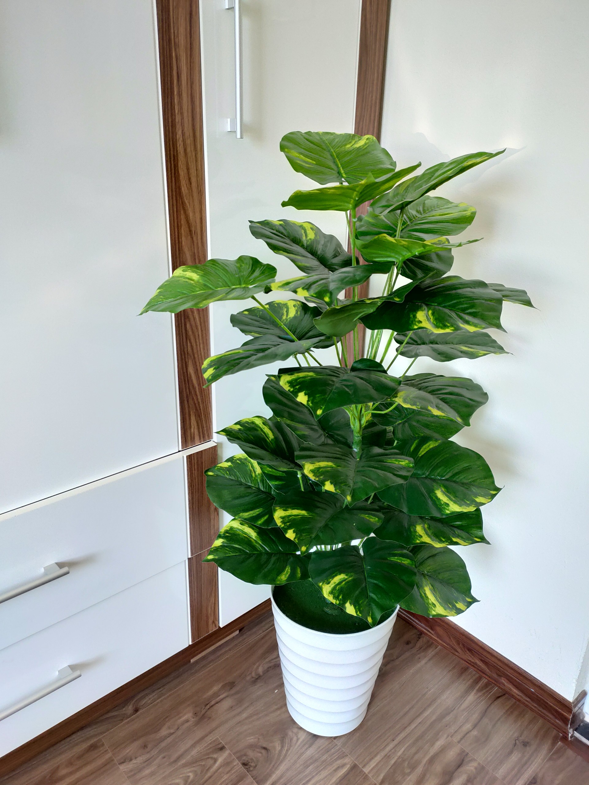 CÂY GIẢ - CÂY TRẦU BÀ  LÁ ĐỐM KÈM CHẬU XỐP TRẮNG Y HÌNH