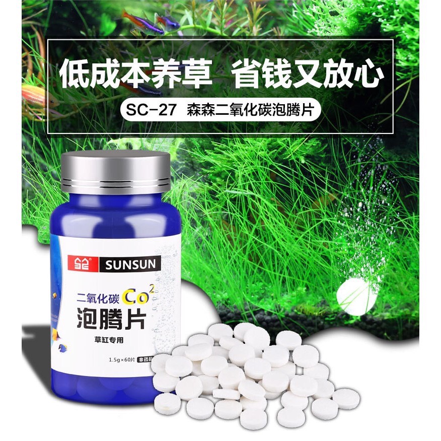 Hộp 60 viên nén sủi CO2 cho bể cá thủy sinh