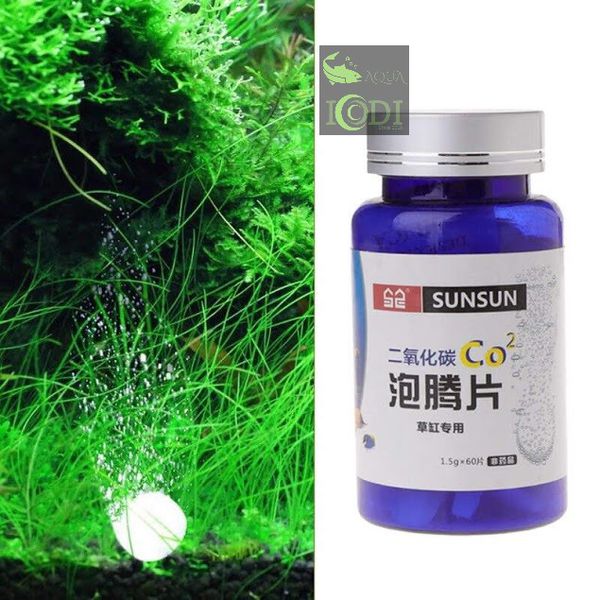 Viên nén co2 cung cấp co2 bể thủy sinh hộp 60 viên - co2 viên
