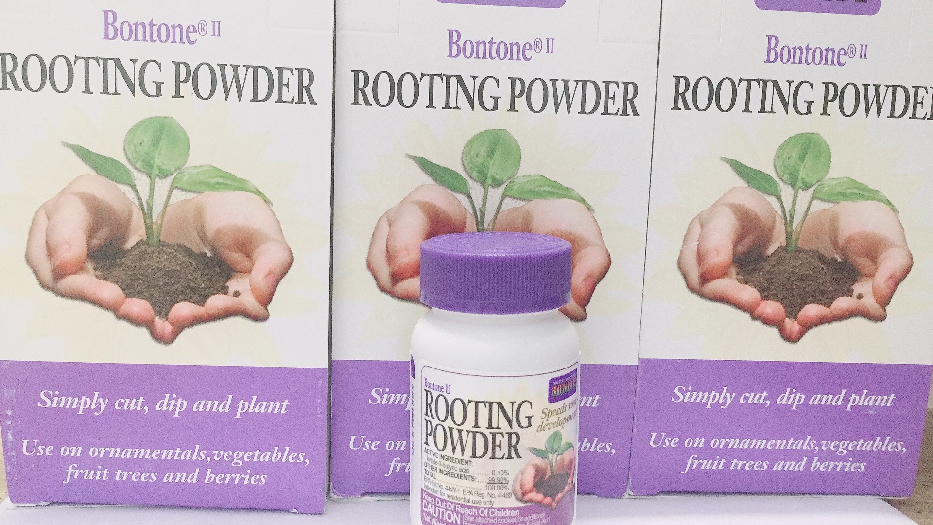 Phân bón kích rễ của mỹ: rooting powder