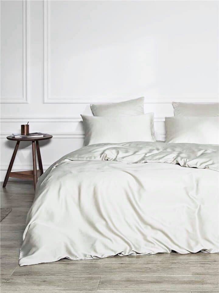 Bộ ga giường bọc 100% Tencel cao cấp - Dòng hàng khách sạn 4-5 sao - Set vỏ gối ôm - Không có vỏ mền