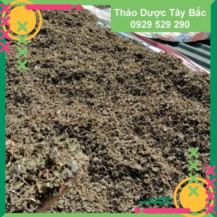 ✅✅ trà dây , trà dây cao bằng , trà dây diệt vi khuẩn hp