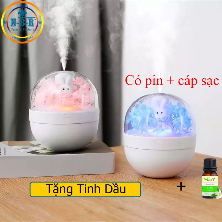 Máy khuếch tán tinh dầu cẩm tú cầu TÍCH HỢP PIN 220ml máy xông tinh dầu cao cấp phấn phối  bởi nbr-store, cam kết hàng đúng mô tả, chất lượng đảm bảo, an toàn cho người sử dụng