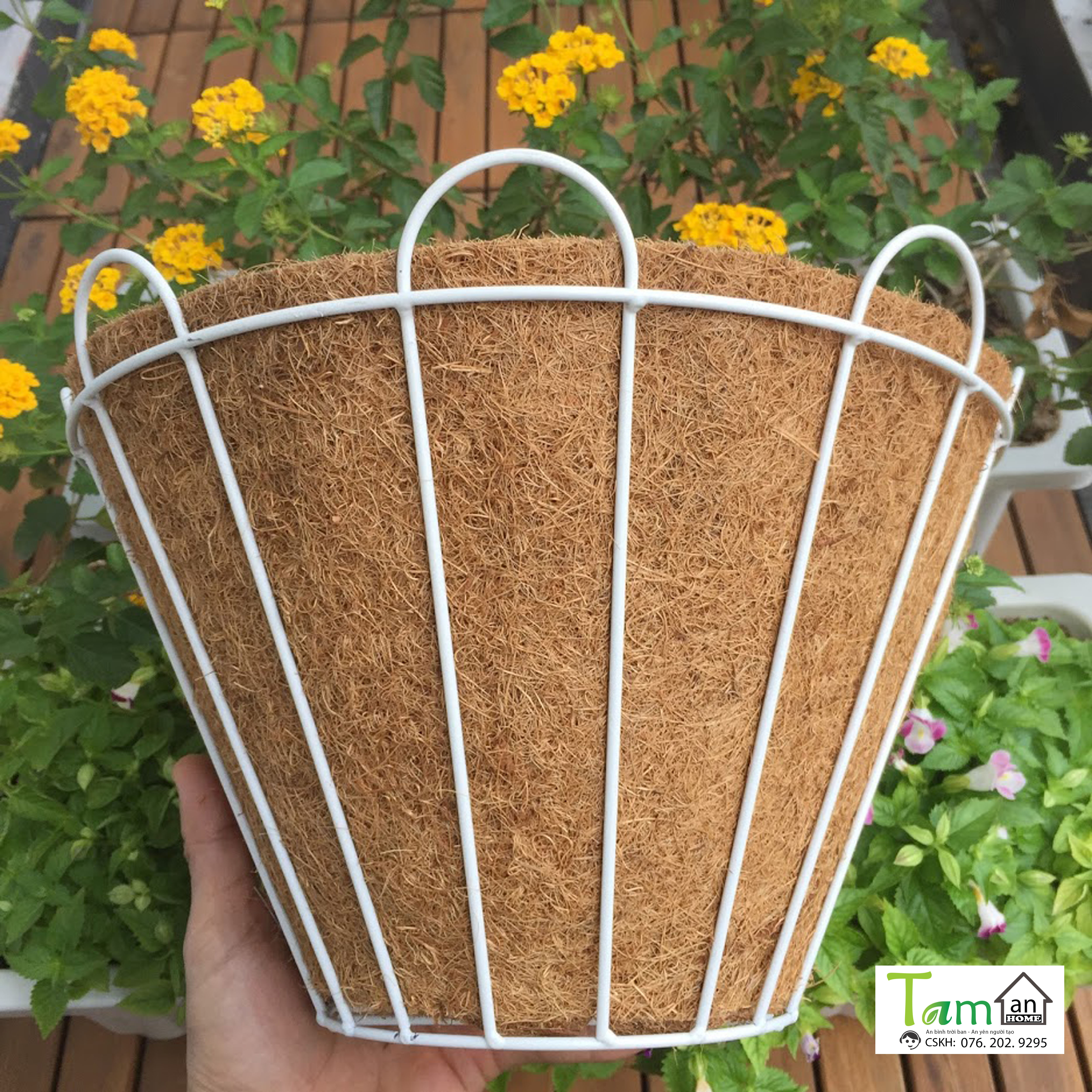 Chậu xơ dừa Taman Home chậu trồng cây áp tường chậu ốp tường chậu treo tường