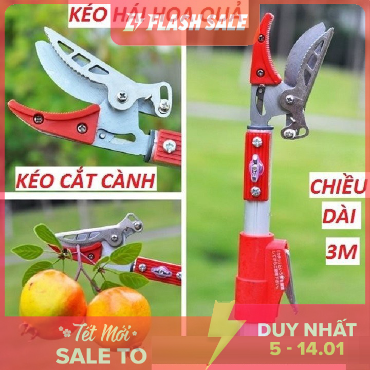 Kéo hái quả - kèo cắt cành trên cao dài 3m- gậy hái hoa quả,kéo cắt quả trên cao dài 3m Bach Hoa Truc