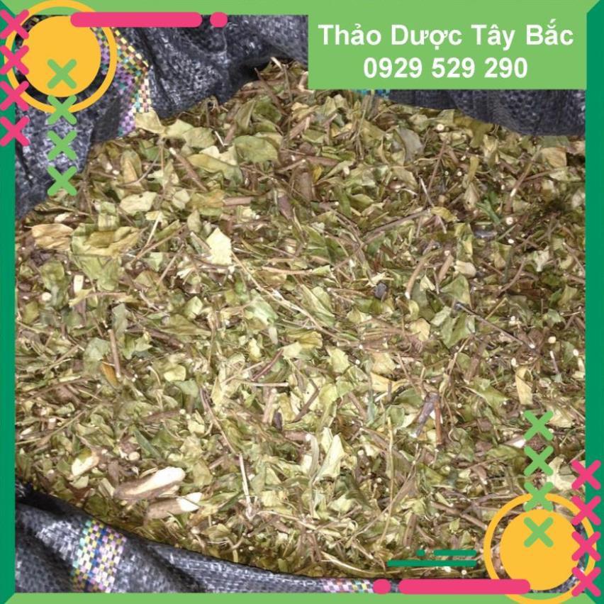 [DÂY THÌA CANH]  - 1Kg  Dây Thìa Canh , Thìa Canh Hòa Bình , Dây Thìa Canh Khô