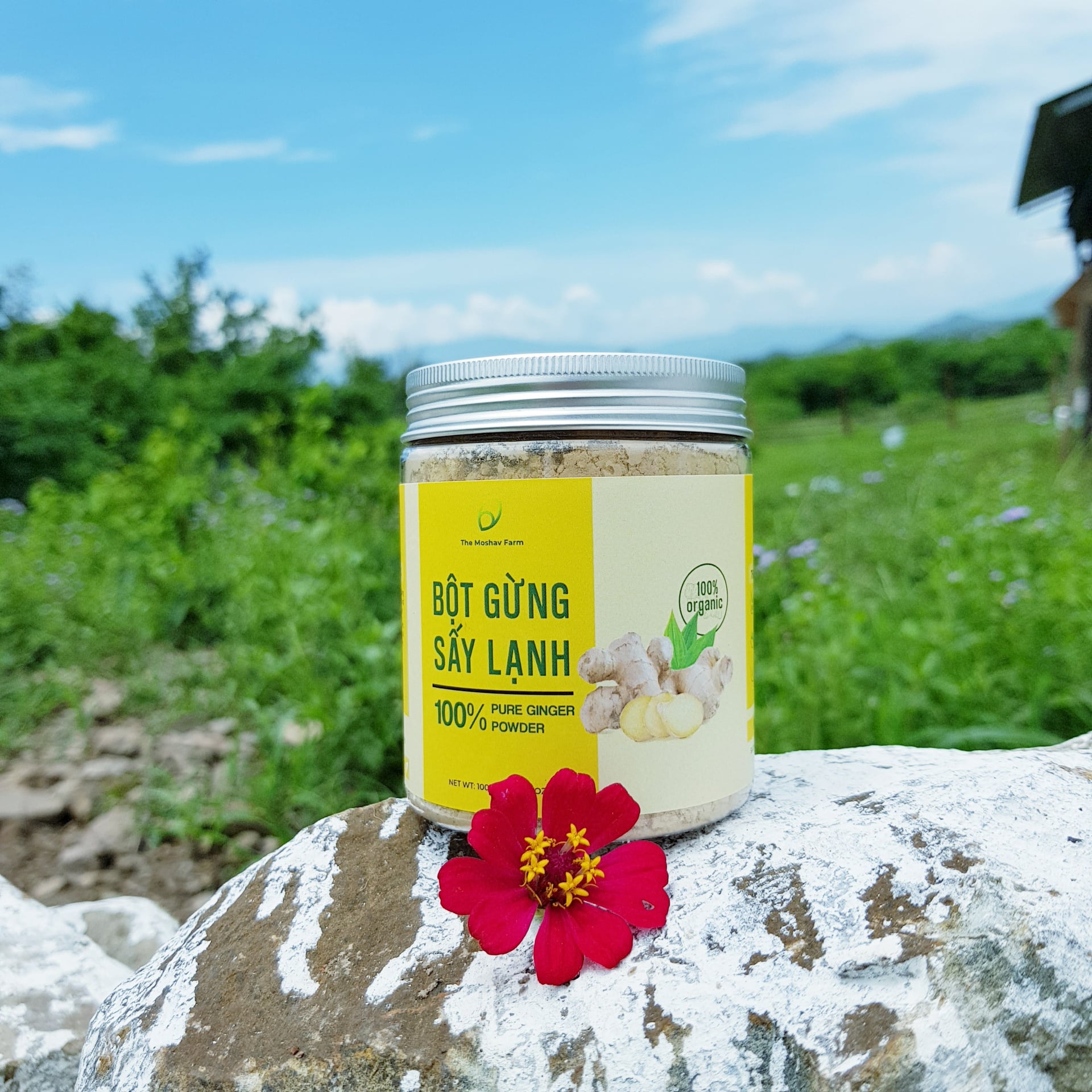 Bột gừng sấy lạnh 100% pure ginger powder