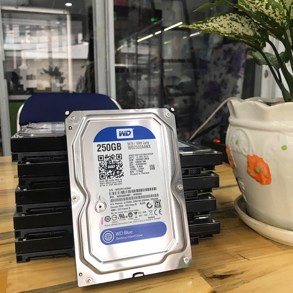 Ổ cứng HDD 250GB WD Sata 3