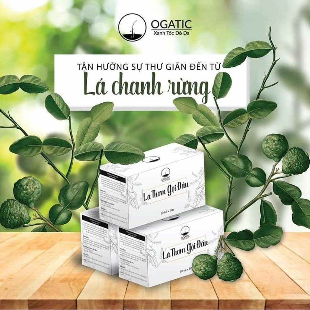 Gội đầu thảo dược bồ kết thiên nhiên OGATIC dạng trà túi lọc