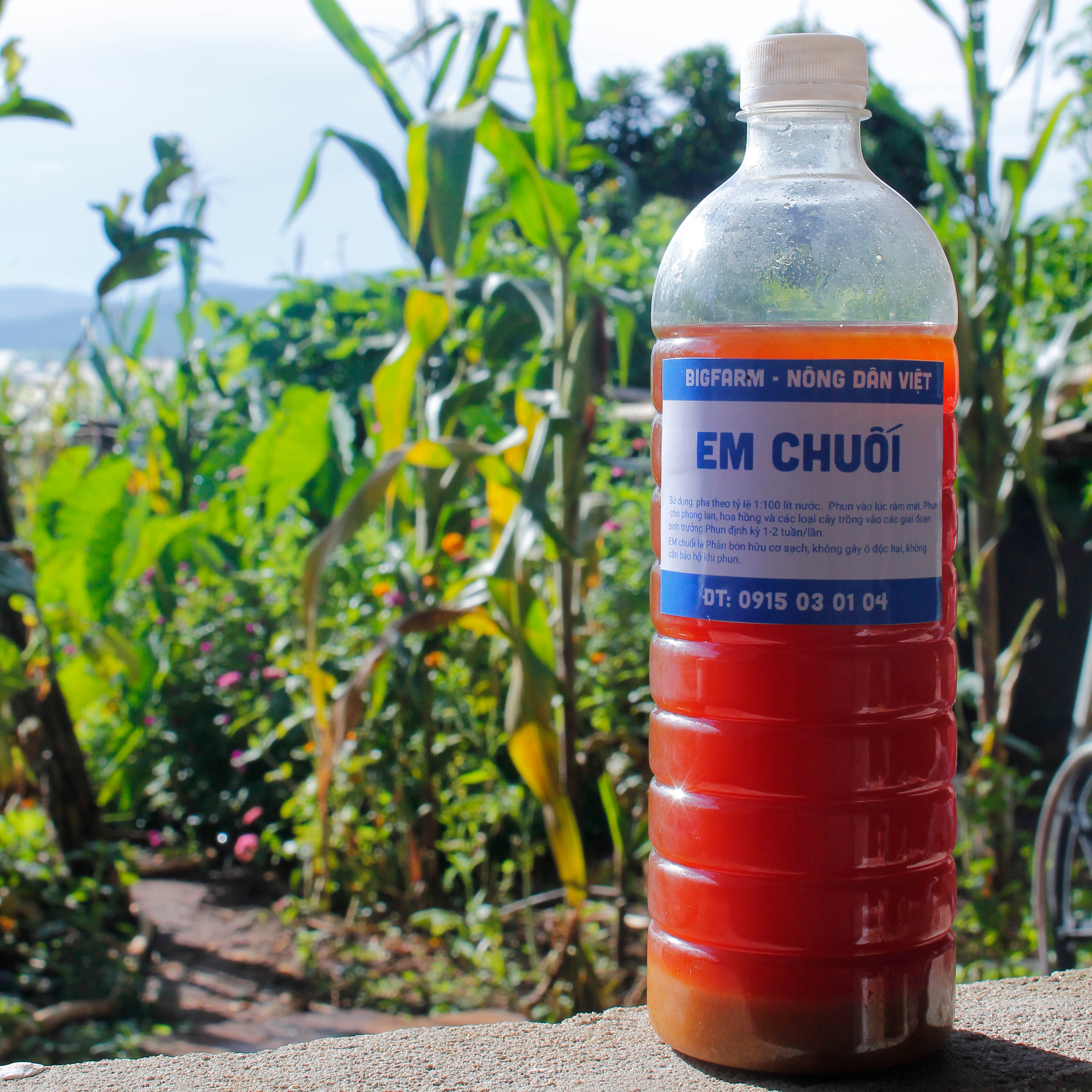 Chế phẩm vi sinh Dịch chuối Lên Men đậm đặc Kích Chồi, ra hoa đậu trái cho hoa lan, cây kiểng, rau 1 lít