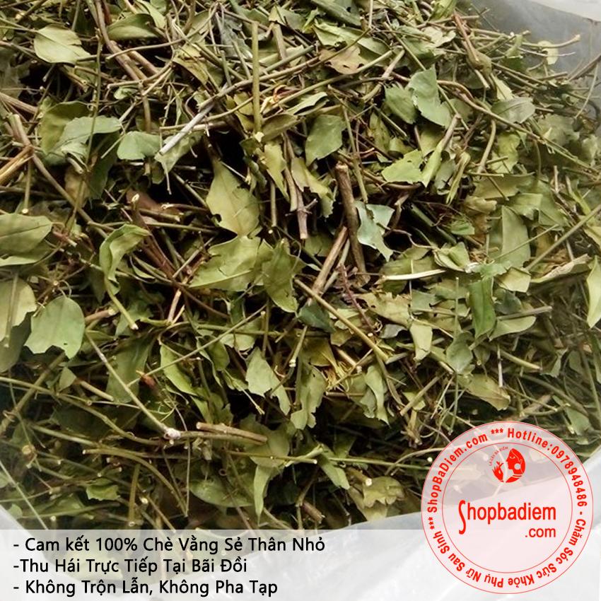 [HCM]Lá Chè Vằng Sẻ Xanh Ngon Chè Vằng Lá Quảng Trị 1kg - Bà Điểm Shop