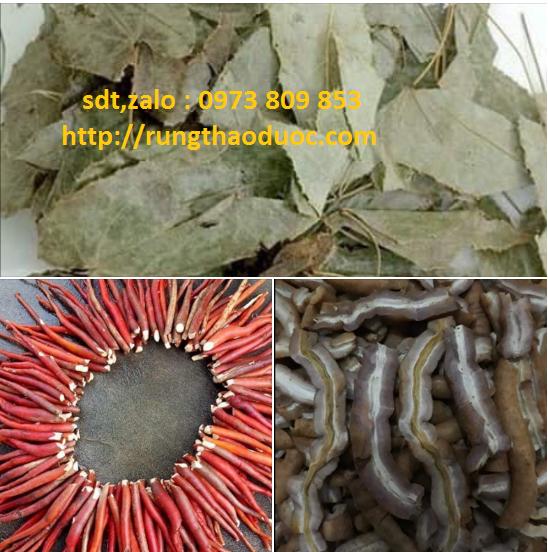 1kg Ba Kích + 0.5kg Dâm Dương Hoắc - Hỗ trợ sinh Lý Nam