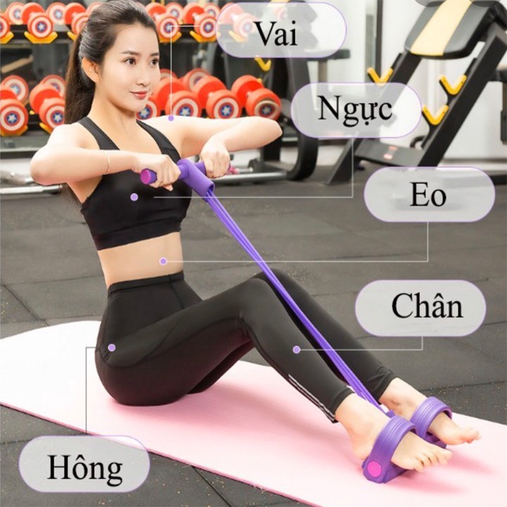 [HCM]Dụng cụ tập cơ bụng tại nhà dây cao su Tummy Trimmer giúp eo thon dáng gọn