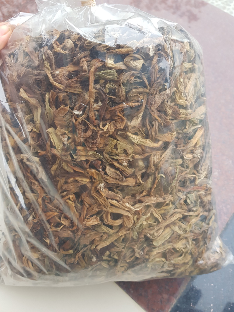 500gr lá trinh nữ hoàng cung phơi khô - "khắc tinh" của u xơ tử cung