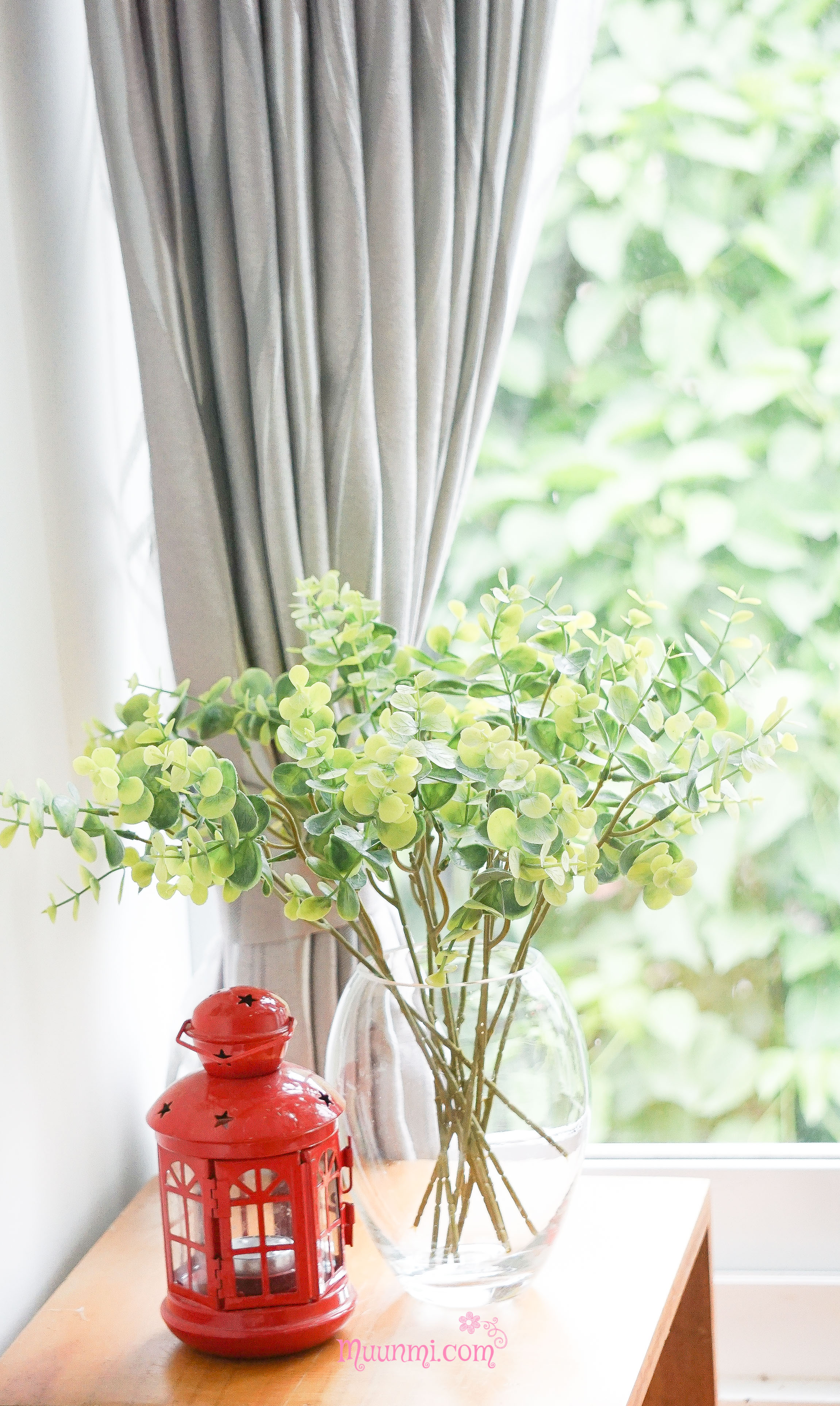 Lá điểm 🌿| Nhánh lá bạc nhí cắm điểm cho bình hoa thêm đẹp